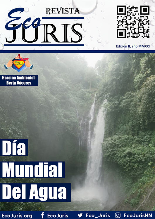 Revista EcoJuris II