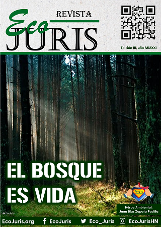 Revista EcoJuris III